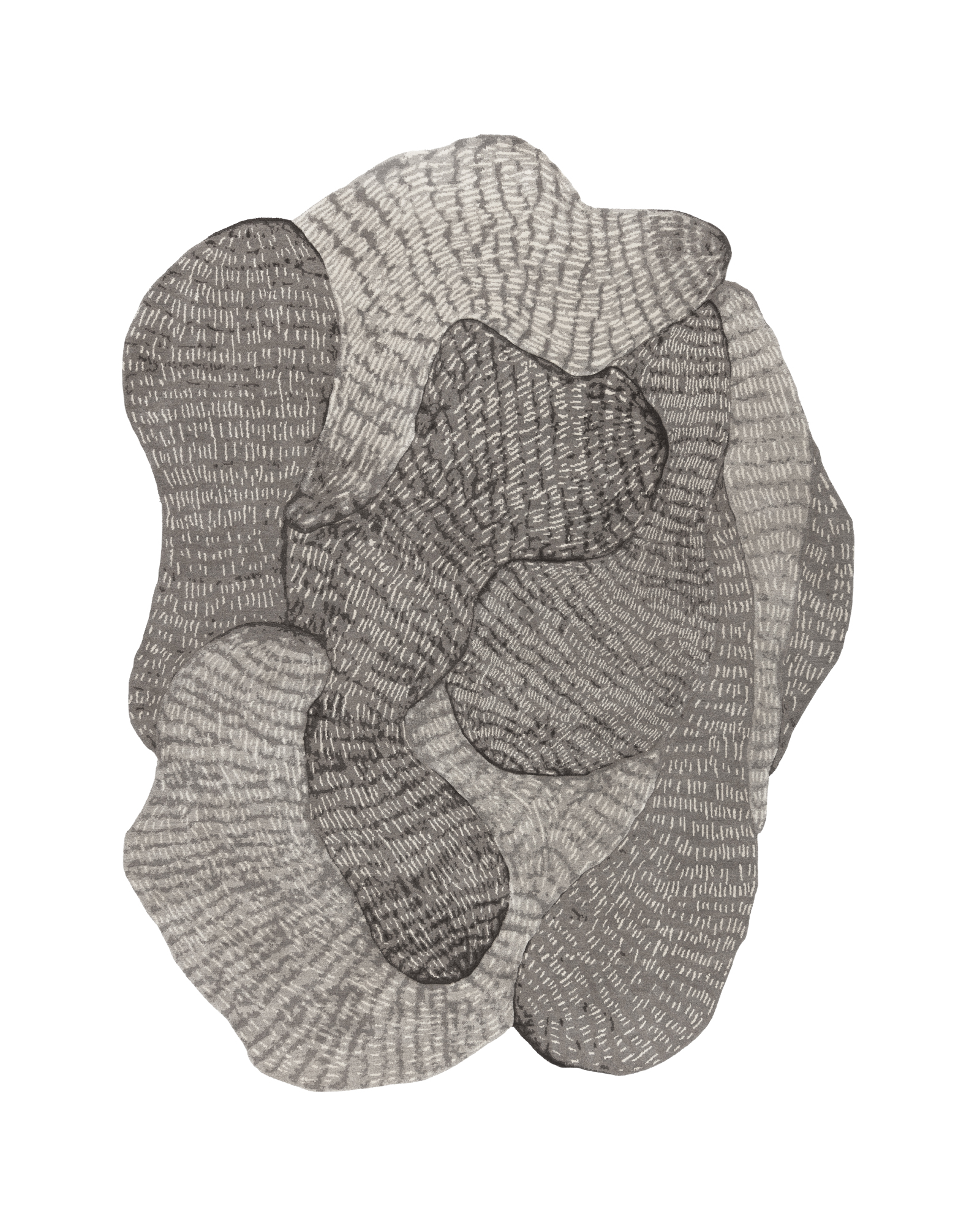 WHAT NEWS-SWARM 地毯