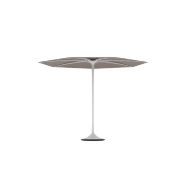 royal botaniaPalma遮陽傘