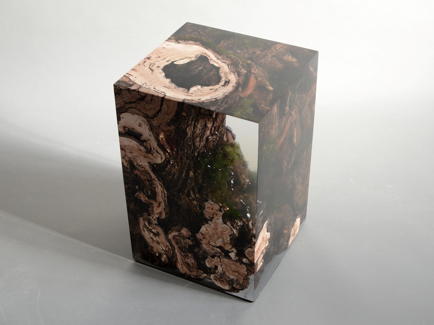 alcarolSTUMP STOOL _ WILLOW吧椅