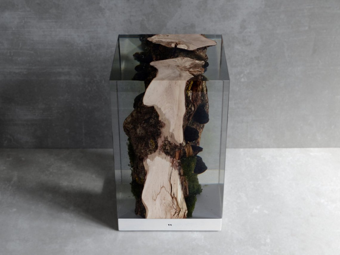 alcarolMOSS LAMP臺燈