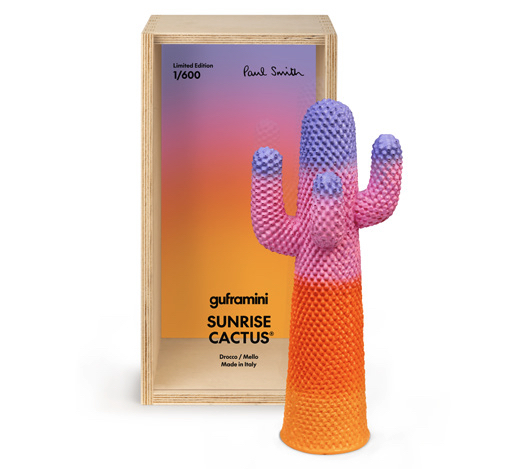 GuframGuframini Cactus Sunrise彩色迷你仙人掌